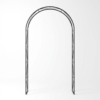 Priscilla Arch