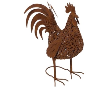 Rooster