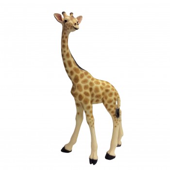 MADAGASCAR GIRAFFE