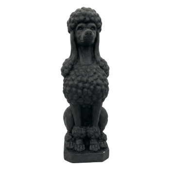 TAJ THE POODLE BLACK