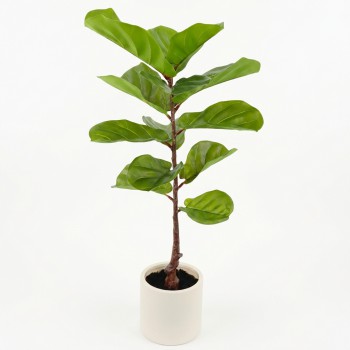 FIDDLE LEAF 90CM