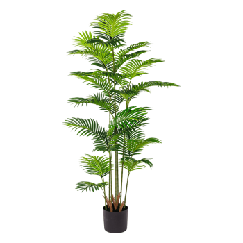 PALM TREE 165CM