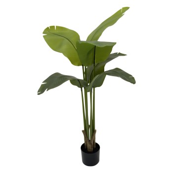 150CM STRELITZIA 8 LEAVES