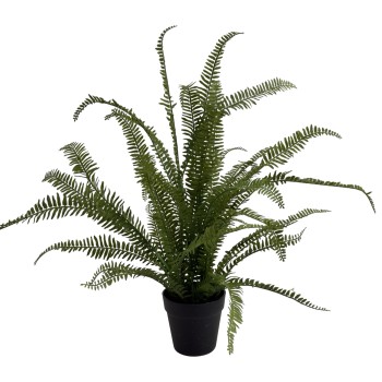 75CM FERN