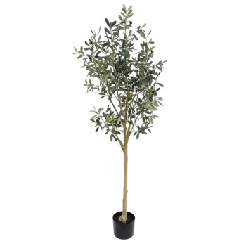 Olive Tree 145cm