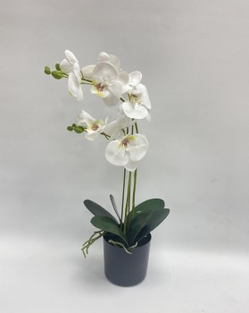 Real Touch Orchid 55cm