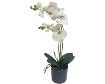 Real Touch Orchid 55cm