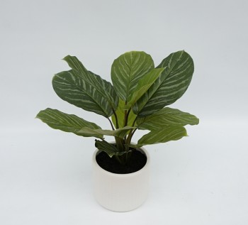 Real Touch Calathea 38cm