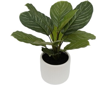 Real Touch Calathea 38cm