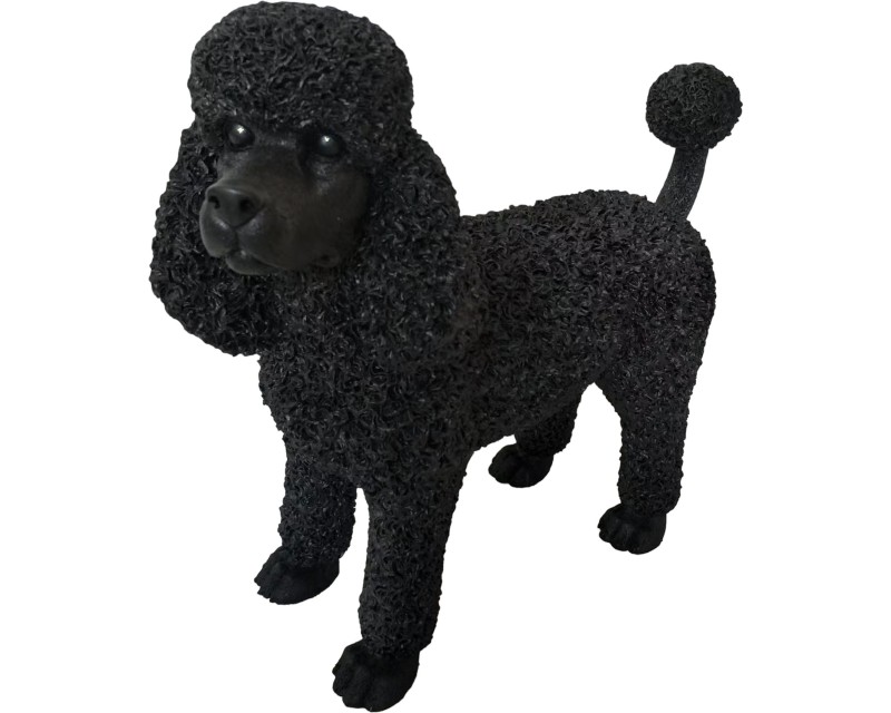 Poodle - Image 1