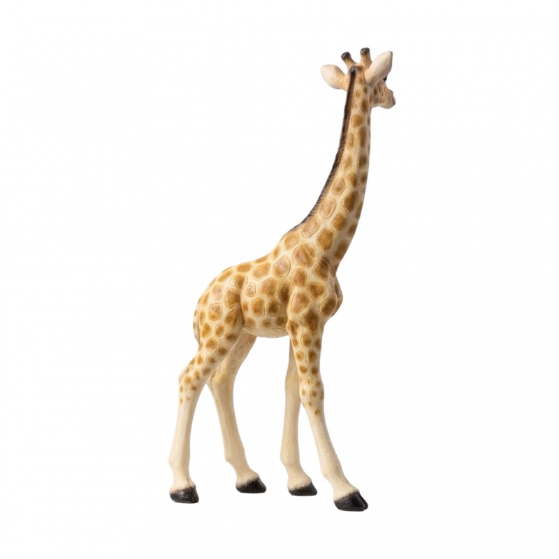 MADAGASCAR GIRAFFE - Image 4