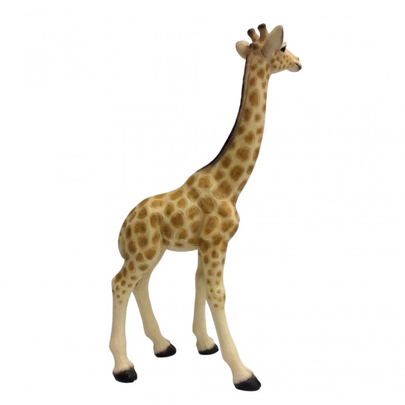 MADAGASCAR GIRAFFE - Image 5