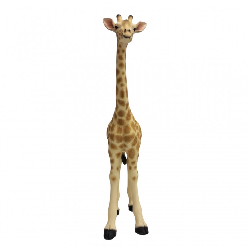 MADAGASCAR GIRAFFE - Image 6