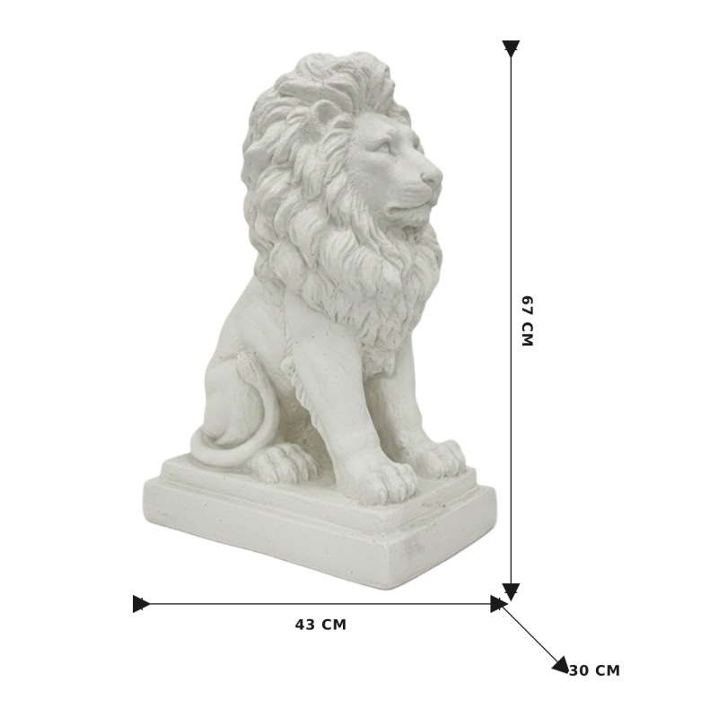 FRENCH LION - Image 6