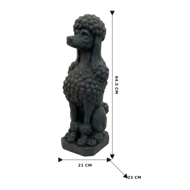 TAJ THE POODLE BLACK - Image 6