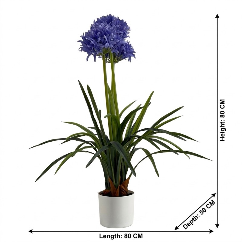 AGAPANTHUS WITH 3 FLOWERS 80CM - Image 6