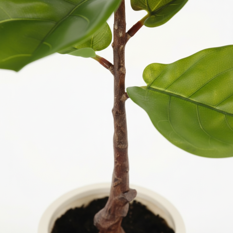 FIDDLE LEAF 90CM - Image 4