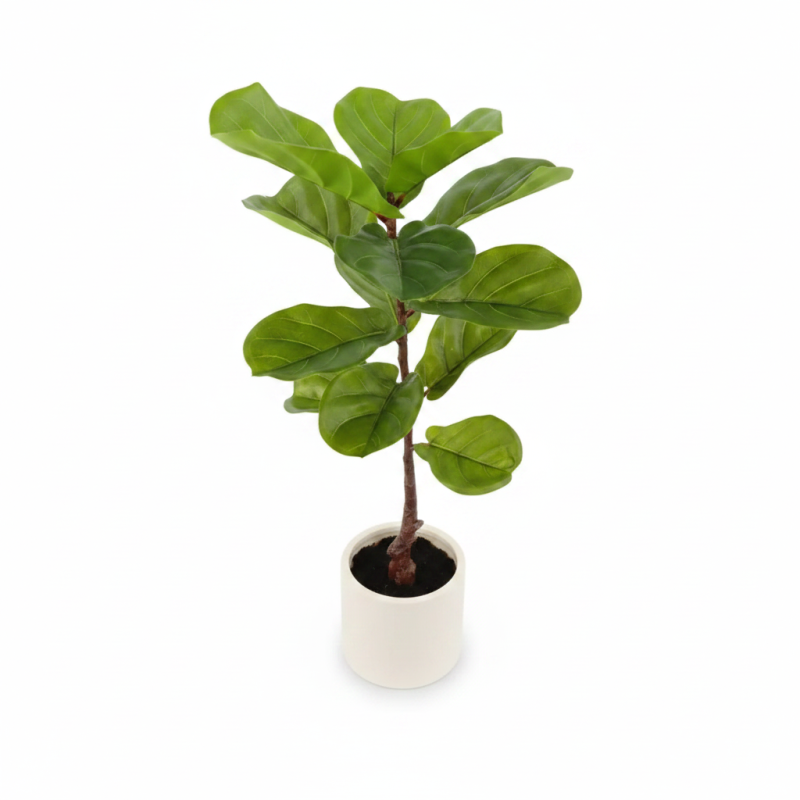 FIDDLE LEAF 90CM - Image 3