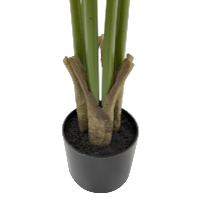 150CM STRELITZIA 8 LEAVES - Image 5