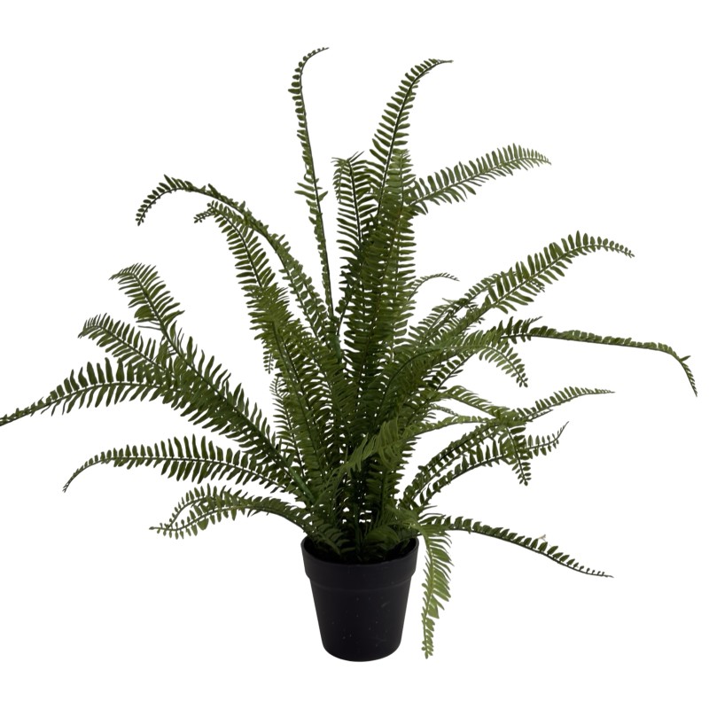 75CM FERN - Image 2