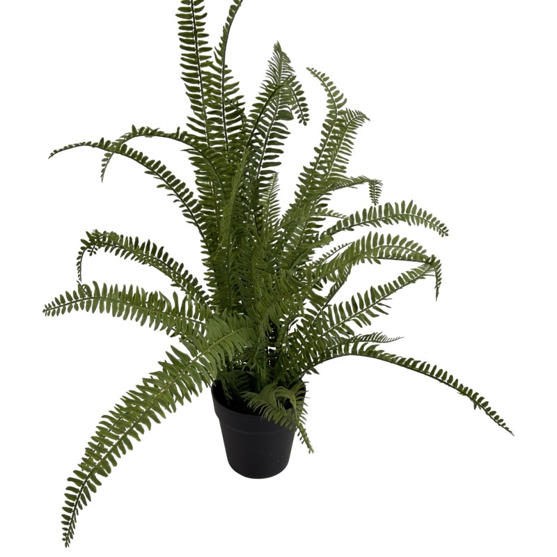 75CM FERN - Image 3