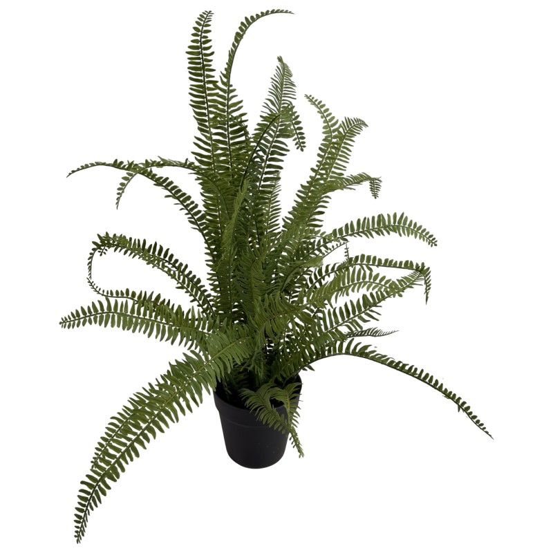 75CM FERN - Image 4
