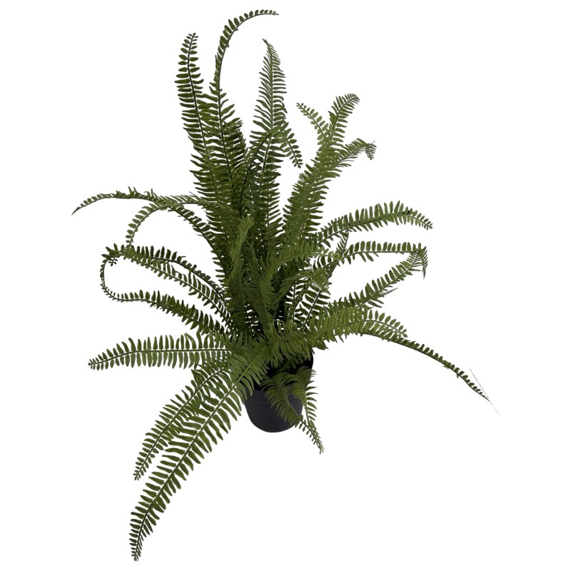 75CM FERN - Image 5