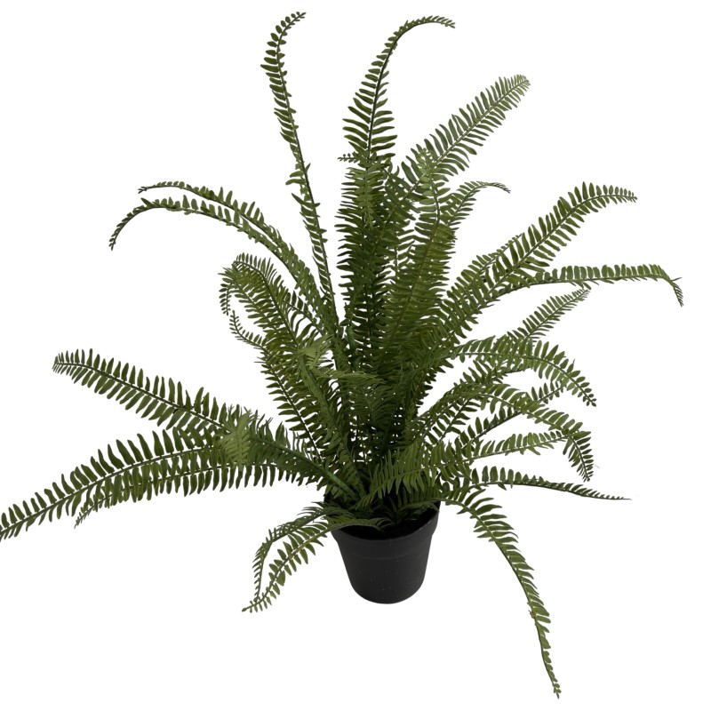 75CM FERN - Image 1