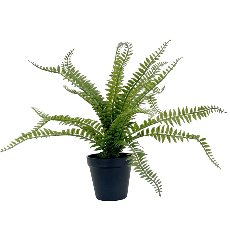 40CM FERN - Image 2