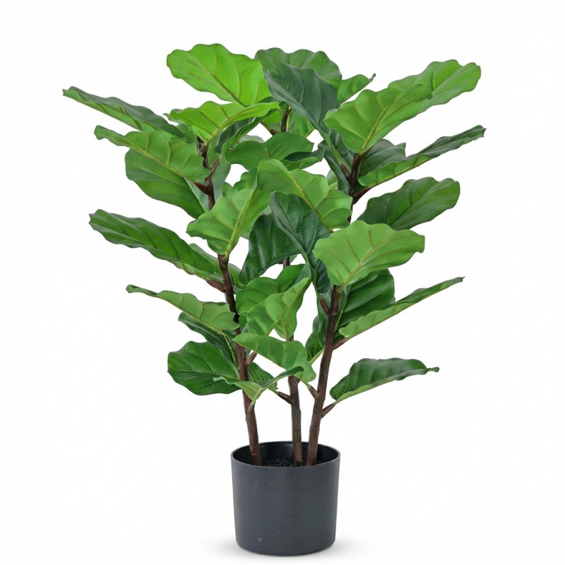 70CM FIDDLE LEAF TREE - Image 1