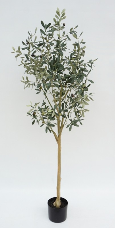 Olive Tree 145cm - Image 1