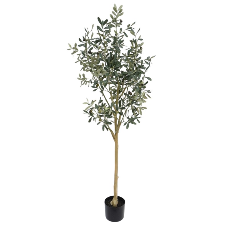 Olive Tree 145cm - Image 1