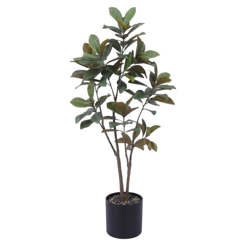Magnolia Tree 180cm - Image 1