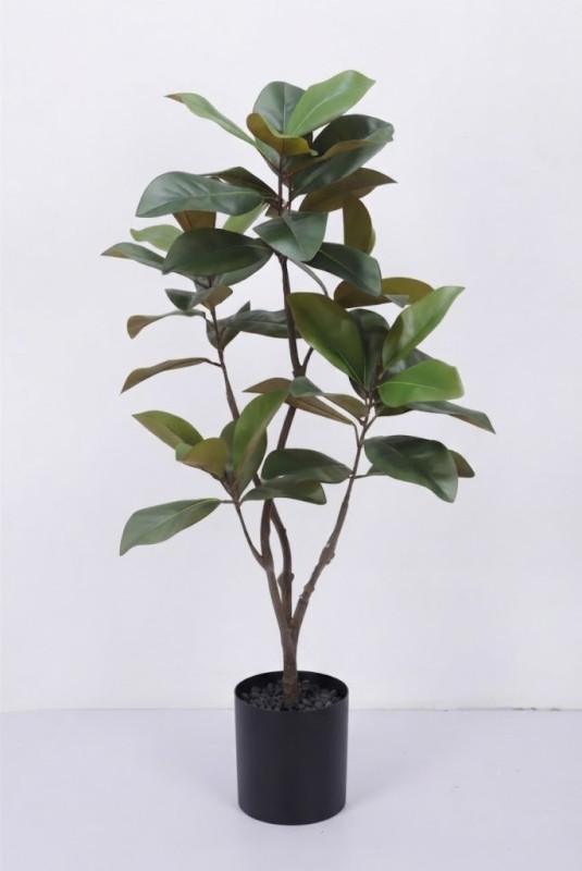 Magnolia Tree 115cm - Image 1