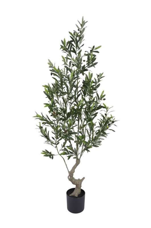 Olive Tree 180cm - Image 1
