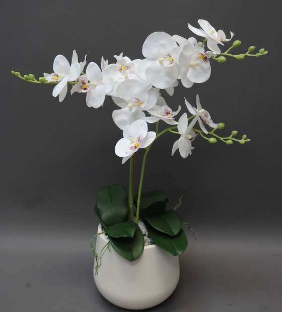 Orchid in Pot 62cm - Image 1