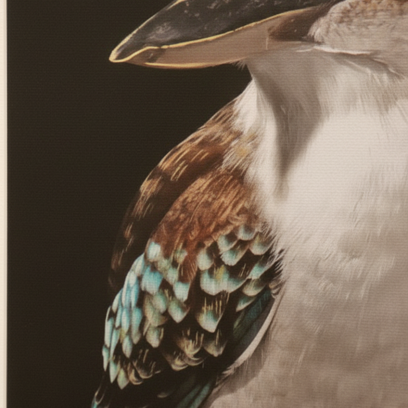 MYSTERY KOOKABURRA ARTWORK  - Image 6