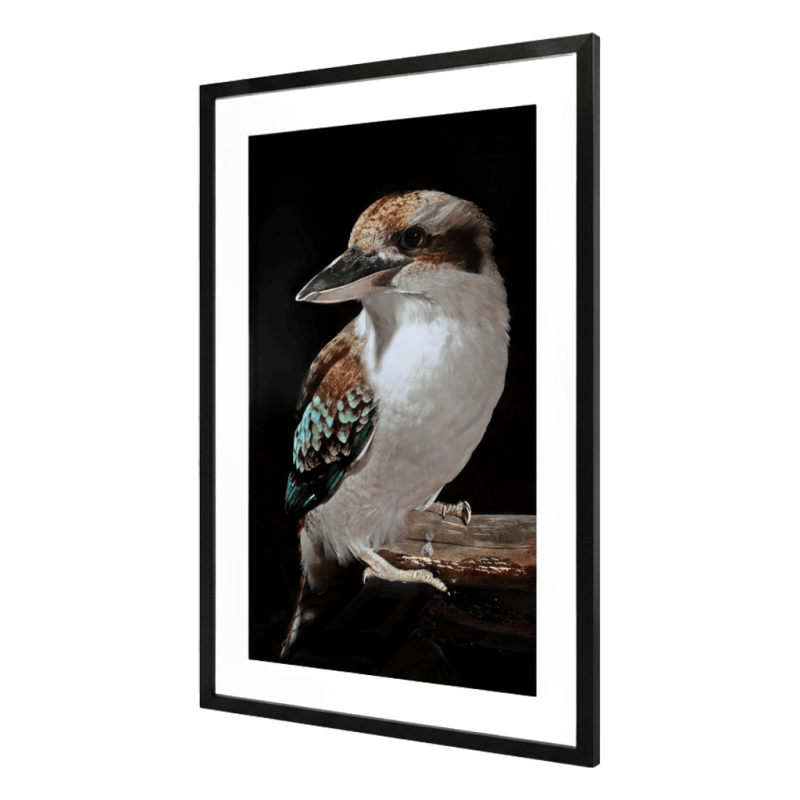 MYSTERY KOOKABURRA ARTWORK  - Image 5